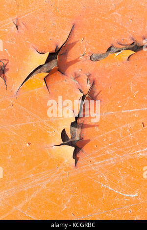Abstract background of an orange-painted metal surface. Cracks formed on the paint from the influence of external factors. Photo close-up with a shall Stock Photo