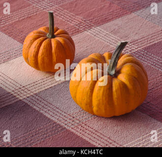 Two small pumpkins on a table with a plaid table cloth Stock Photo