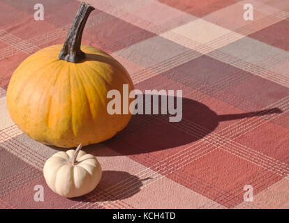Two pumpkins, an orange one and a smaller white one on a table with a plaid table cloth. Shadows of the pumpkins can be seen on the table Stock Photo