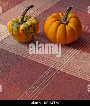 Two pumpkins, one orange and the other multi colored on a table with a plaid table cloth Stock Photo