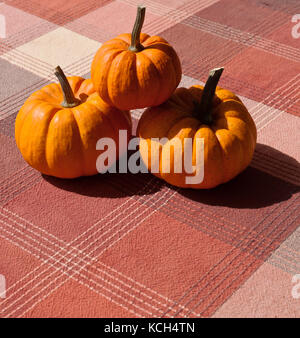 Three orange pumpkins piled together on a table with a plaid table cloth Stock Photo