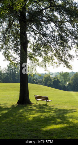 Park bench under a tree, Fairport NY USA. Stock Photo