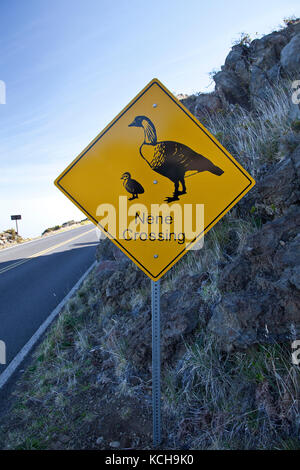 Nene (Hawaiian Goose) (branta sandvicensis) road sign, Haleakala National Park, Maui, Hawaii Stock Photo