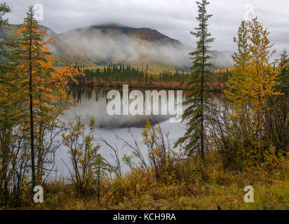 Autumn Scenery along Highway 1, near Mentasta Lake, Alaska, North America. Stock Photo