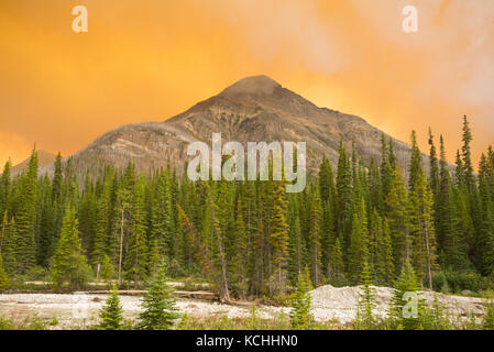 A forest fire in Kootenay National Park, BC Stock Photo