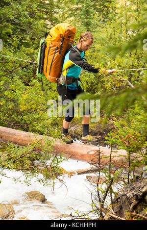 A young man with a backpack crossing a tributary of Assiniboine Creek over a log bridge, British Columbia Stock Photo