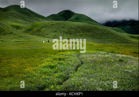 Dzükou Valley. Border of the states of Nagaland and Manipu…