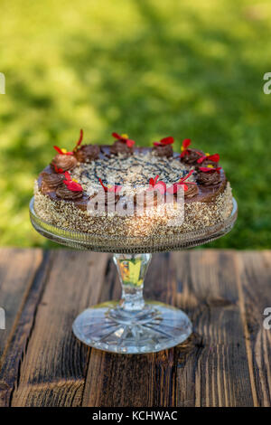 chocolate cake decorated with fresh flowers Stock Photo