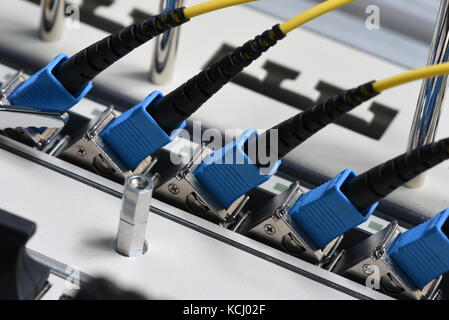 Optical line unit with fiber optical network cables patch cords Stock Photo