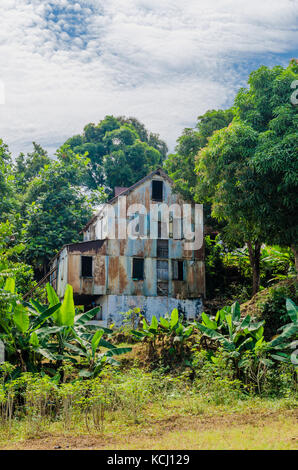 Abandoned and fading house surrounded by forest and banana trees, traces of civil war, Robertsport, Liberia, West Africa Stock Photo