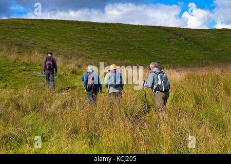 Group of ramblers people walkers hikers hiking walking along path public footpath Northumberland England UK United Kingdom GB Great Britain Stock Photo