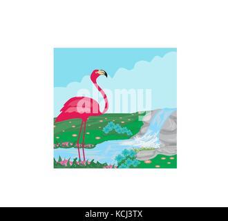 pink flamingo in the water Stock Vector