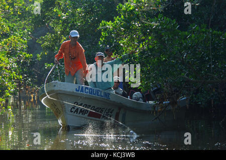 Fishermen fly fishing and casting for juvenile tarpon in the remote creeks of Campeche Yucatan Mexico Stock Photo