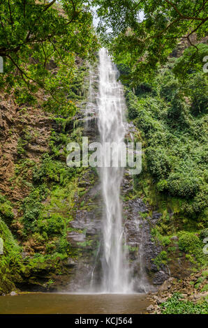 The famous Wli water falls, the highest waterfall in West Africa, surrounded by lush tropical forest, Ghana Stock Photo