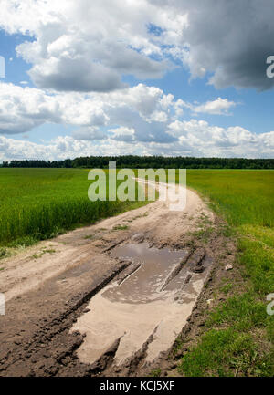 pit and puddles on a small sandy road passing through an agricultural field. photo close-up after the rain in the summer. Stock Photo