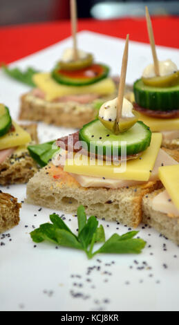 Catering food, picure of a well decorated catering food Stock Photo