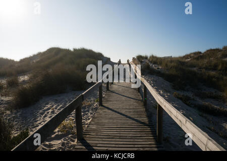 Small wooden path leading through the dunes of Praia da Tocha, Portugal Stock Photo