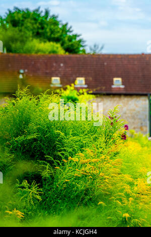 Museum of Impressionisms Garden, in the beautiful town of Giverny, France Stock Photo