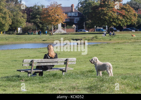 London, UK. 6th Oct, 2017. UK Weather: People enjoy the Autumn sunshine with clear blue skies on a sunny morning in Cannizzaro Park Wimbledon  London Credit: amer ghazzal/Alamy Live News Stock Photo