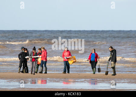 Southport, Merseyside, Sunny in Southport. 6th October 2017. UK Weather.  Marine biology students examine the sea life as some lovely warm autumn sunshine beams down on to the golden sands of Southport beach in Merseyside.  Credit: Cernan Elias/Alamy Live News Stock Photo