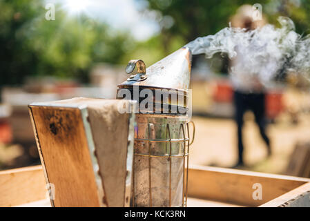 Beekeeper smoking pot standing on the hives Stock Photo