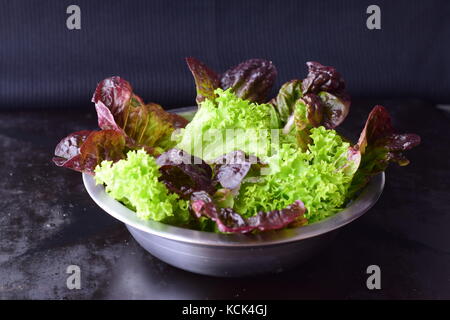 Variety of fresh salad leaves in a metal bowl on a black abstract background. Healthy concept. Stock Photo