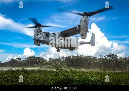A U.S. Marine Corps MV-22 Osprey assault support aircraft lands during a helicopter insertion exercise at the Camp Gonsalves Jungle Warfare Training Center July 17, 2017 in Okinawa, Japan.  (photo by Aaron S. Patterson  via Planetpix)