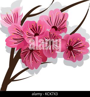 Branch of blooming cherry tree Sakura, pink flowers on white background Stock Vector