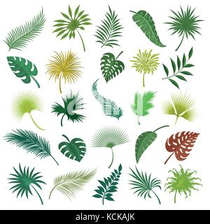 Palm exotic leaves set Stock Vector