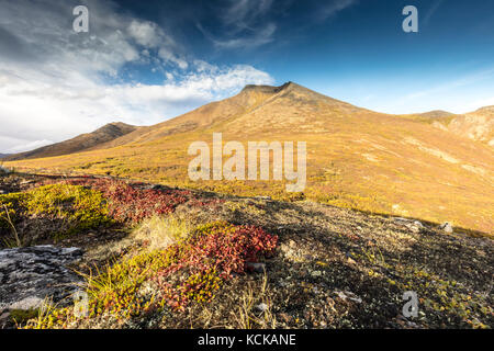 View of Goldensides from the Goldensides trail in Tombstone Territorial Park, Yukon, Canada