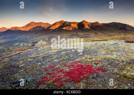 View from Goldensides of the Fall colours in Tombstone Territorial Park, Yukon, Canada