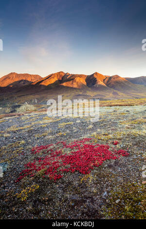 View from Goldensides of the Fall colours in Tombstone Territorial Park, Yukon, Canada