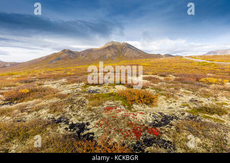 View from the Goldensides trail in Tombstone Territorial Park, Yukon