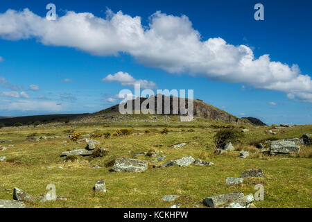 Distant view of the Cheesewring on Bodmin Moor, Cornwall, England, UK Stock Photo