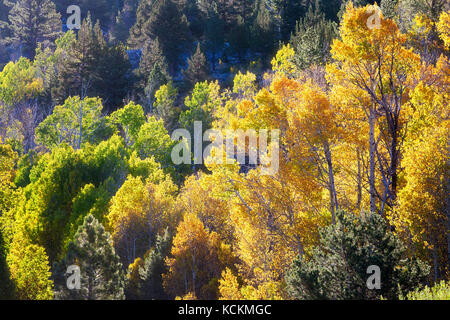 Hope Valley is accessible through Highway 89 in the Tahoe area in California. Stock Photo