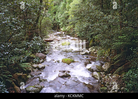 Liffey River, Great Western Tiers, Tasmania, Australia Stock Photo