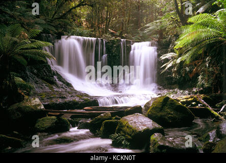 Horseshoe Falls, on the Lady Barron Falls circuit walk, 100 m upstream of Russell Falls, Mount Field National Park, Tasmania, Australia Stock Photo