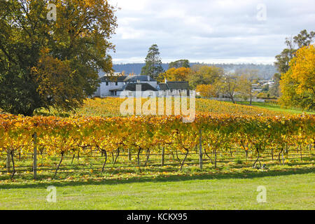 Entally House and surrounding vineyard. The house was built in 1819 by Thomas Reibey, son of Mary Reibey. It is now managed by Tasmanian Parks and Wil Stock Photo