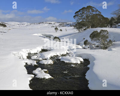 Watchbed Creek on Bogong High Plains in snow. Falls Creek Alpine Resort, Alpine National Park, Victoria, Australia Stock Photo