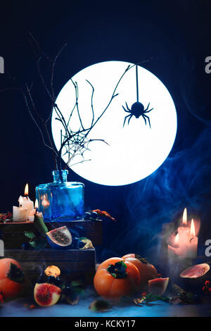 Spider in a web silhouette in full moon light. Conceptual Halloween still life with smoke, persimmon, dry branches, candles and magical equipment. Occ Stock Photo