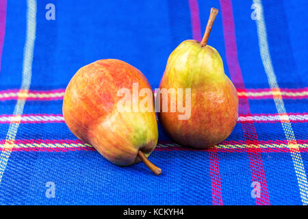 On a blue veil there are two large ripe pears Stock Photo