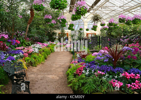 Colourful display of flowers in beds and hanging baskets in the Fitzroy Gardens Conservatory built in 1930. Melbourne, Victoria, Australia Stock Photo