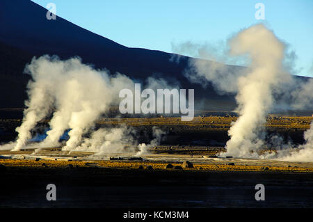 Chile Atacama Desert. Geyser del Tatio( 4.300 m.). decine di piccoli geyser, solfatare, pitte di fango e soffioni costellano questo altipiano.All'alba le colonne di vapore sono molto alte| Chile Atacama Desert tens of small geysers, fumaroles, mud pitts are all around this magnificient high plateau. At sun rise, the vapor collums are a lot higher. Waiting the sun rise while the moon sets. Stock Photo