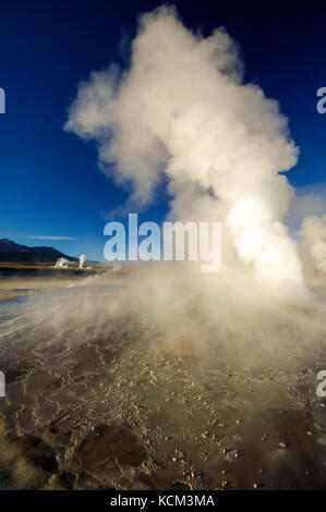 Chile Atacama Desert. Geyser del Tatio( 4.300 m.). decine di piccoli geyser, solfatare, pitte di fango e soffioni costellano questo altipiano.All'alba le colonne di vapore sono molto alte| Chile Atacama Desert tens of small geysers, fumaroles, mud pitts are all around this magnificient high plateau. At sun rise, the vapor collums are a lot higher. Waiting the sun rise while the moon sets. Stock Photo