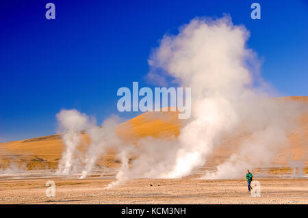 Chile Atacama Desert. Geyser del Tatio( 4.300 m.). decine di piccoli geyser, solfatare, pitte di fango e soffioni costellano questo altipiano.All'alba le colonne di vapore sono molto alte| Chile Atacama Desert tens of small geysers, fumaroles, mud pitts are all around this magnificient high plateau. At sun rise, the vapor collums are a lot higher. Waiting the sun rise while the moon sets. Stock Photo