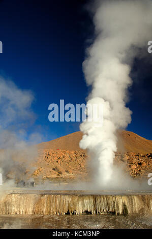 Chile Atacama Desert. Geyser del Tatio( 4.300 m.). decine di piccoli geyser, solfatare, pitte di fango e soffioni costellano questo altipiano.All'alba le colonne di vapore sono molto alte| Chile Atacama Desert tens of small geysers, fumaroles, mud pitts are all around this magnificient high plateau. At sun rise, the vapor collums are a lot higher. Waiting the sun rise while the moon sets. Stock Photo