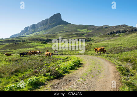 An Sgùrr, or the Sgurr of Eigg, from the track to Grulin, above Galmisdale on the Isle of Eigg, Scotland, UK Stock Photo