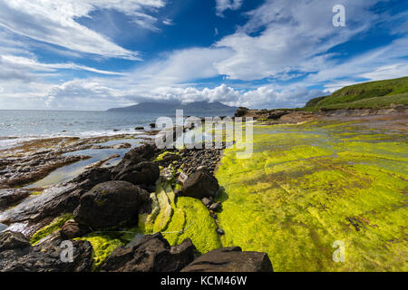 Basalt dyke rock formations on the beach at the Bay of Laig, on the Isle of Eigg, Scotland, UK.  Behind is the Isle of Rum. Stock Photo