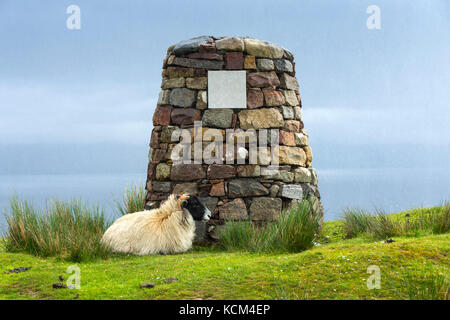 A sheep sheltering from heavy rain at the memorial cairn to Calum Macloed MBE (1911-1988) on Calum's Road, Isle of Raasay, Scotland, UK Stock Photo