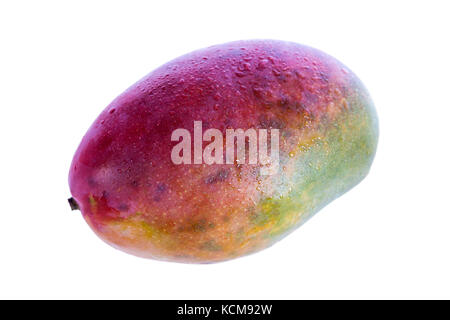 Whole Ripe Green Red Mango isolated on white background with drop of water Stock Photo